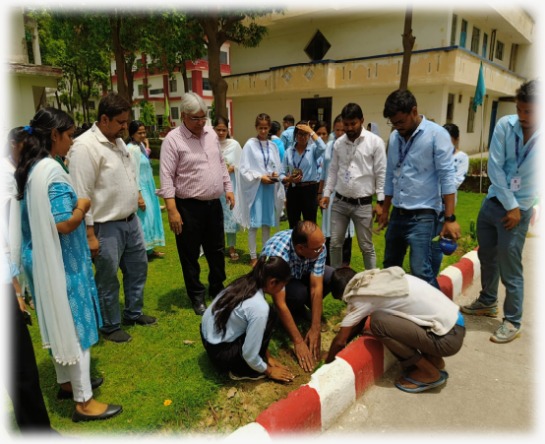Environment Day