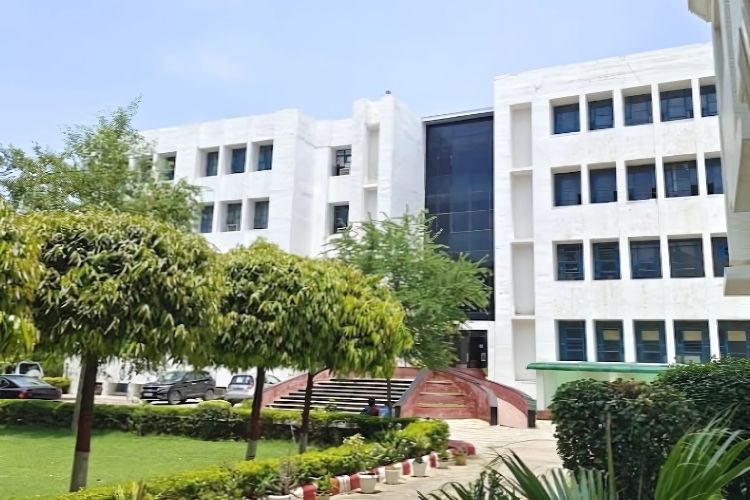 colleges in noida